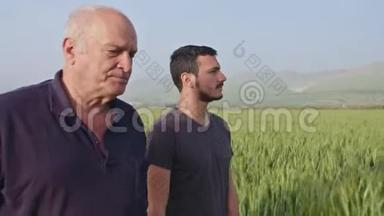 老农夫和年轻农夫在绿色的麦田里散步